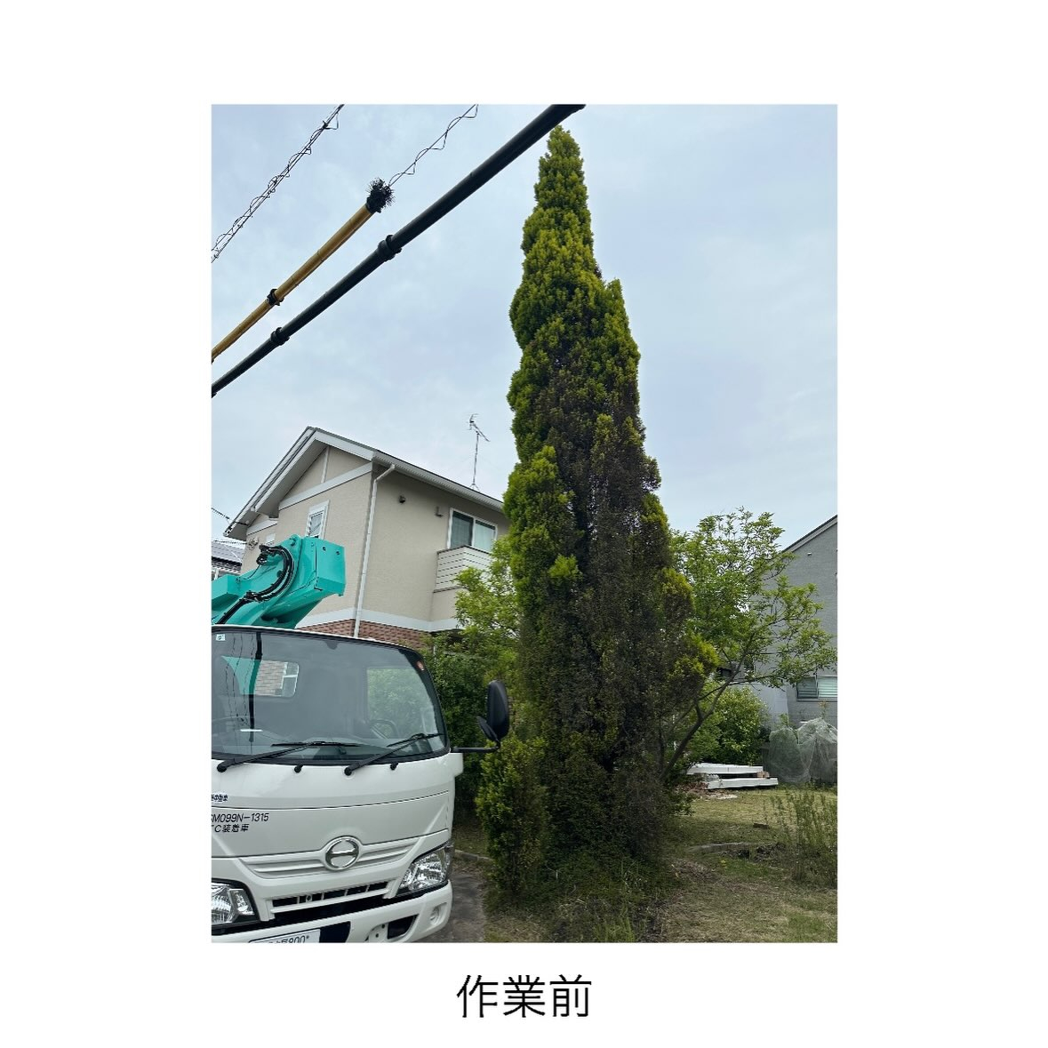【常滑市発!】高所作業車を使って安全に高木伐採(^^)/