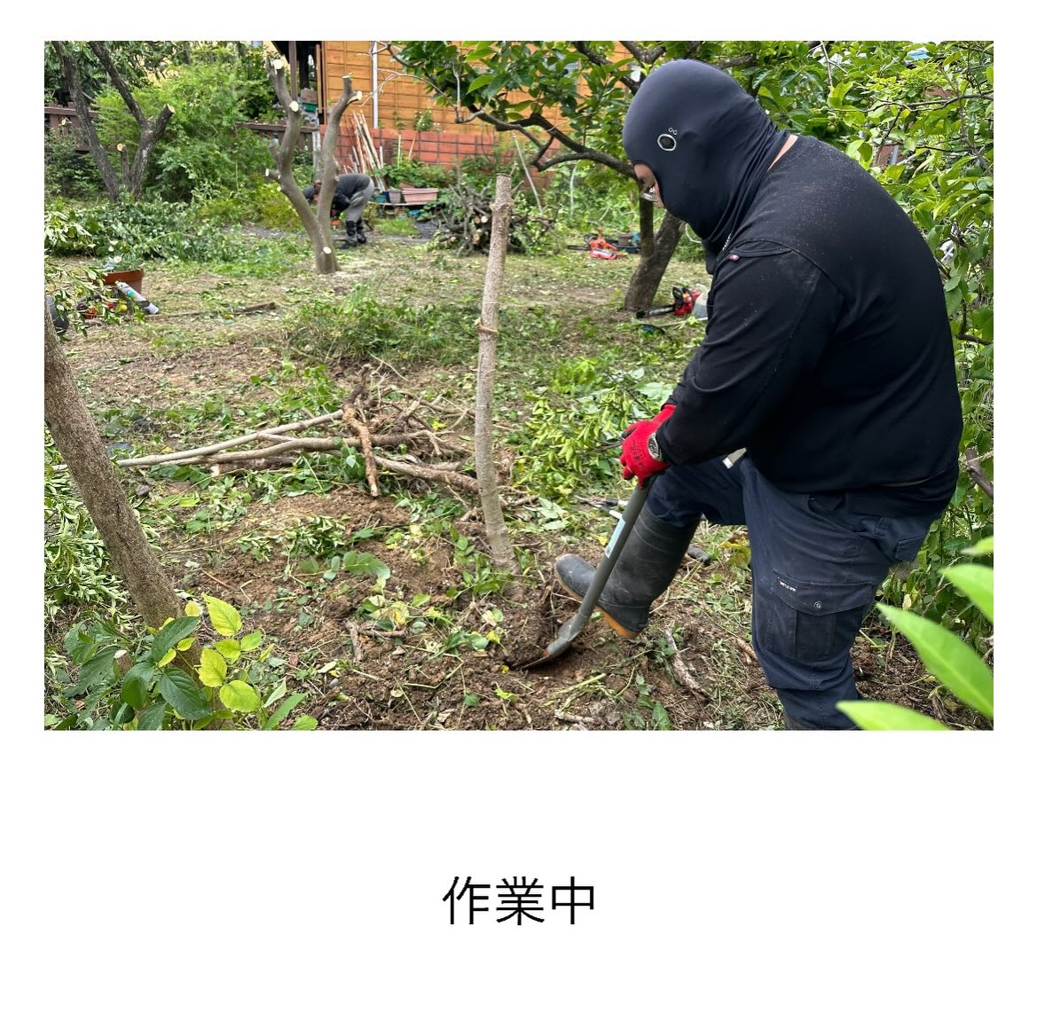【半田市発☆彡】重機が入らなく手作業で抜根しました。