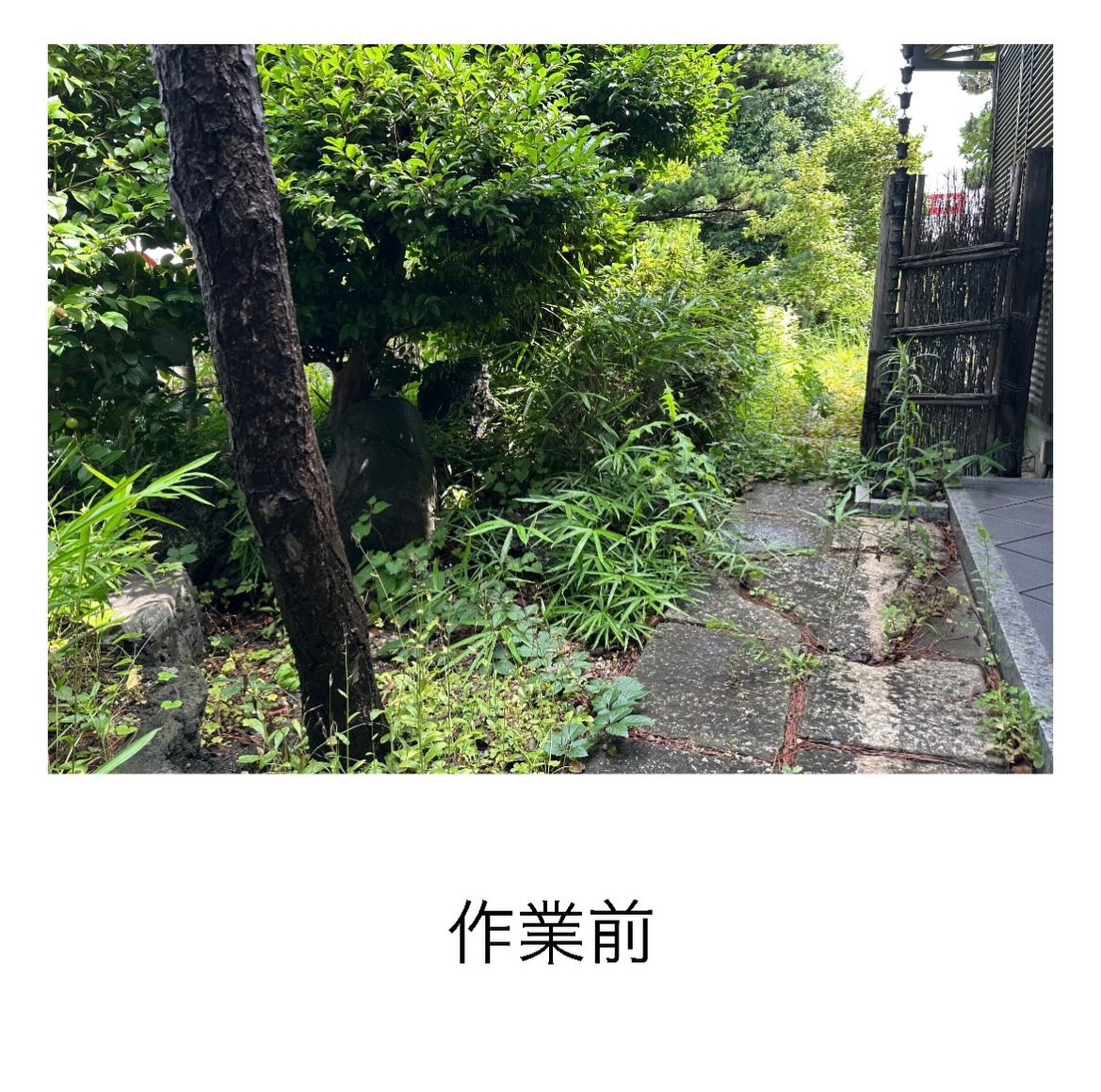 ・・・・・・・・・・・・・・・・・・・・・・・・・・