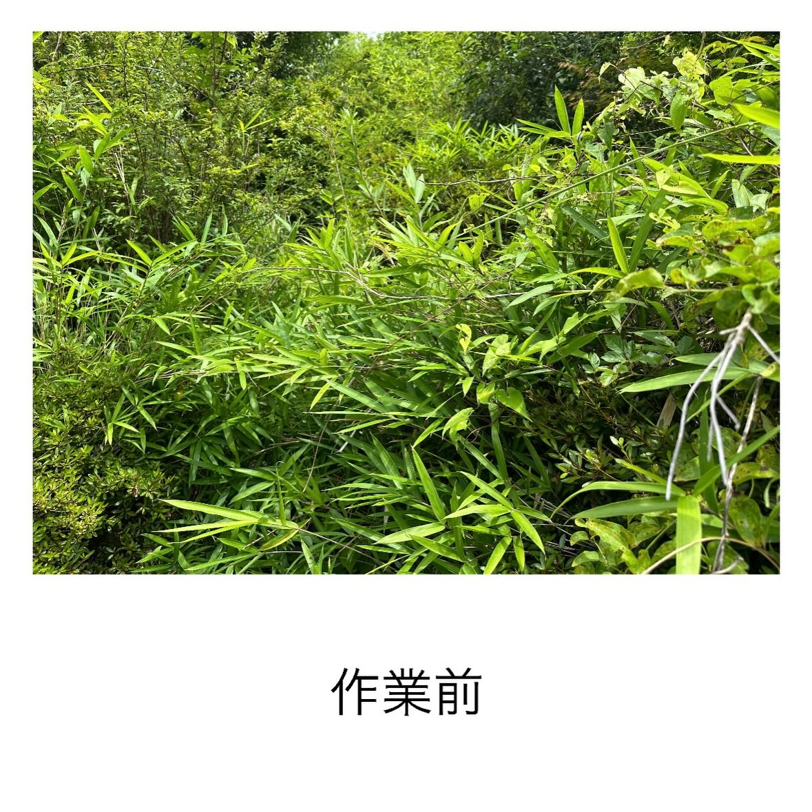 【知多市発!】旅館のような素晴らしいお家part3(^^)/