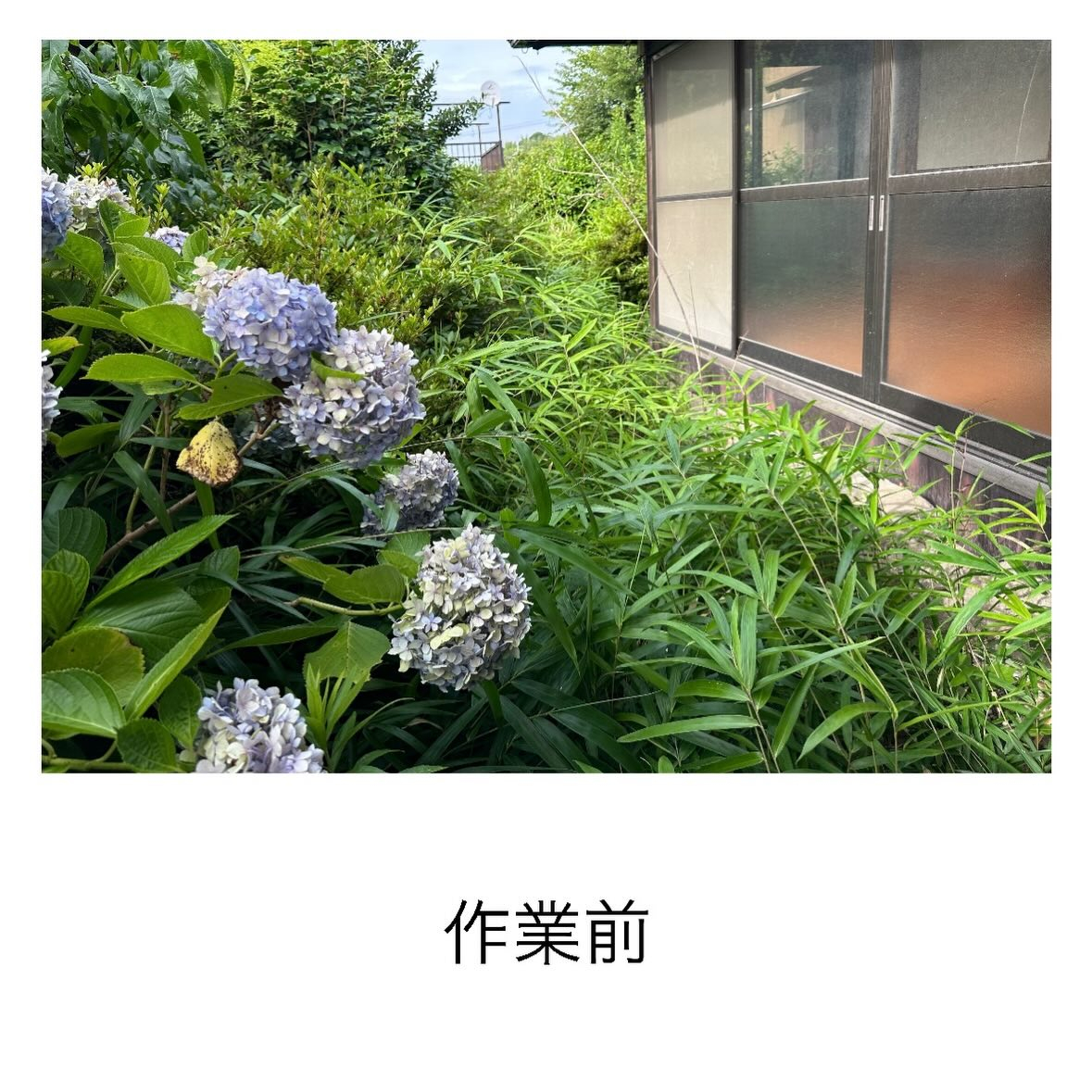 【知多市発!!】お庭まるごとスッキリ草刈り(^^)/